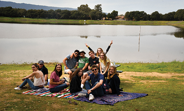 Perfect Picnics