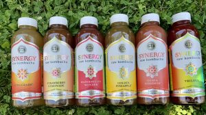 Craving Kombucha?