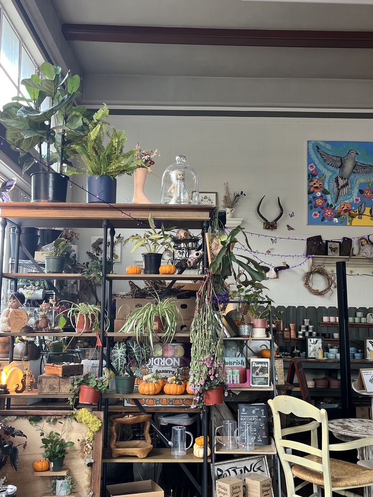 A still of Little Green: A Plant Shop captured in November 2025. 